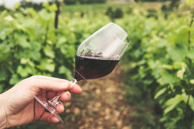 Family dining at a farm-to-table restaurant. French wine