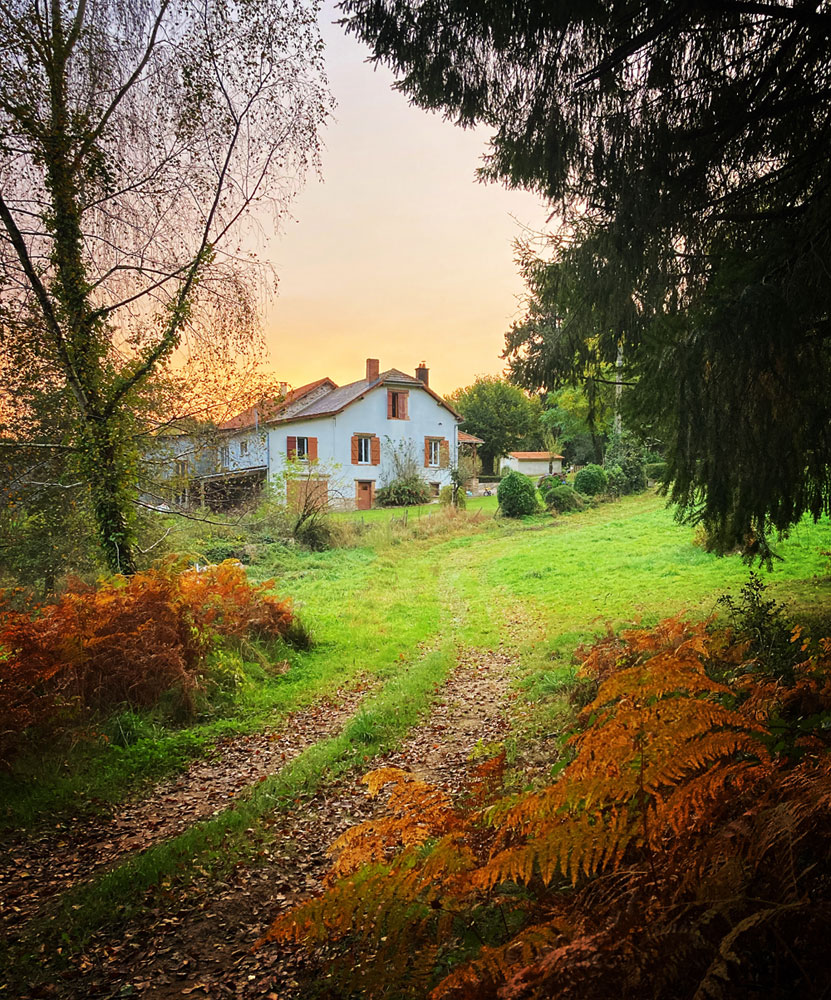 your holiday in France with your dog